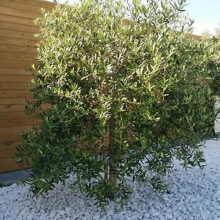 Casa Salitre Casa de Férias